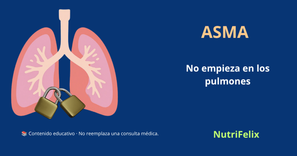 Pulmón con un candado representando el gen FOXP3 hipermetilado en el asma y las alergias respiratorias