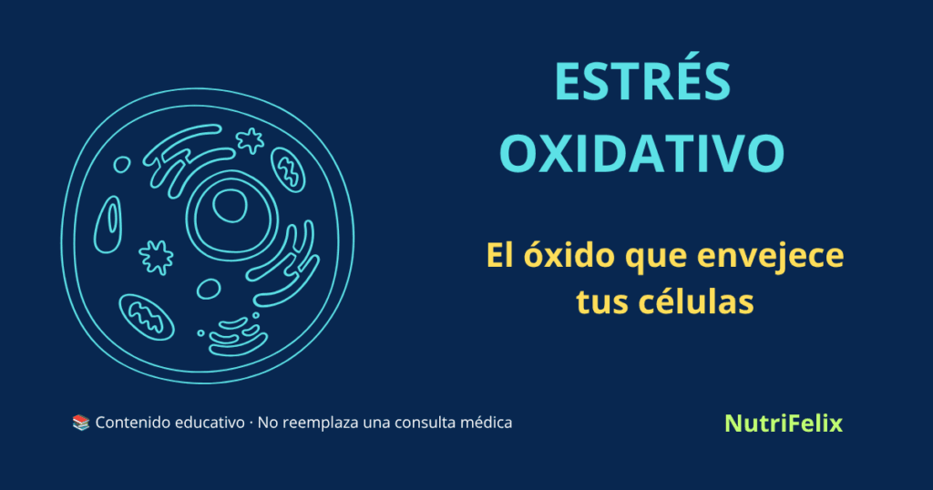 Ilustración de una célula con daño oxidativo, representando el estrés oxidativo y su papel en el envejecimiento celular y las enfermedades crónicas