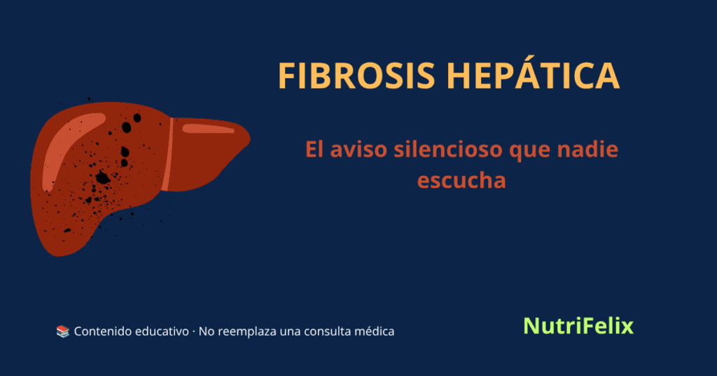 Ilustración de un hígado con tejido cicatricial y alteraciones estructurales, representando la fibrosis hepática como un daño silencioso y progresivo