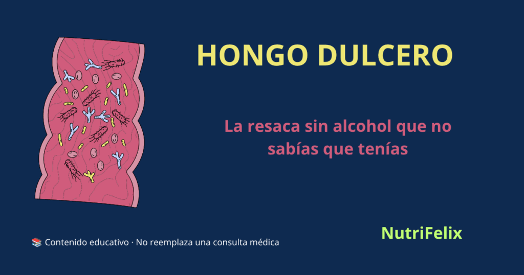 Ilustración de Candida albicans en el intestino, representando el sobrecrecimiento del hongo que provoca la sensación de "resaca sin alcohol" y niebla mental