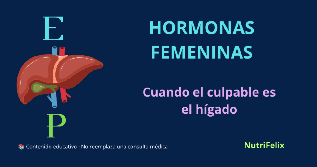 Ilustración del hígado con símbolos de hormonas femeninas (estrógeno y progesterona), representando el metabolismo hormonal y la conexión entre el hígado y el equilibrio hormonal en la mujer