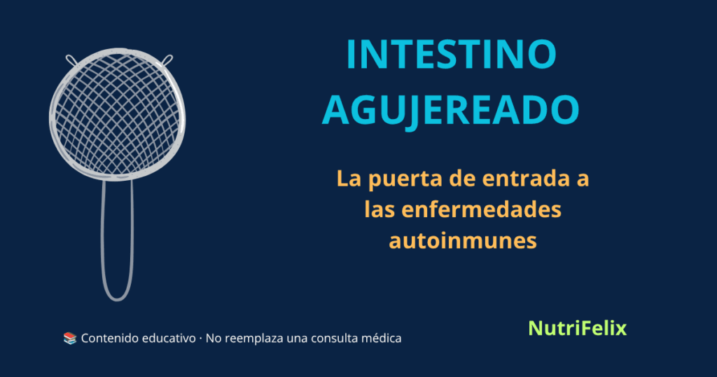 Ilustración de un colador o cedazo de cocina representando la permeabilidad intestinal y el intestino agujereado como puerta de entrada a enfermedades autoinmunes