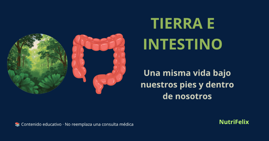 Ilustración que conecta un paisaje natural con un intestino, representando la analogía entre la microbiota del suelo y la microbiota humana
