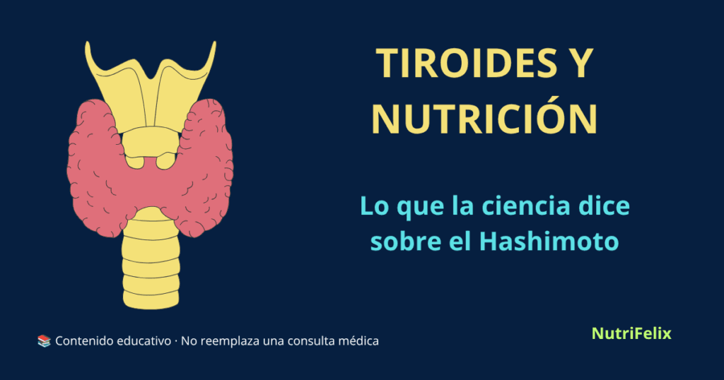 Ilustración de la glándula tiroides en forma de mariposa, representando la conexión entre la nutrición, los nutrientes y la enfermedad de Hashimoto