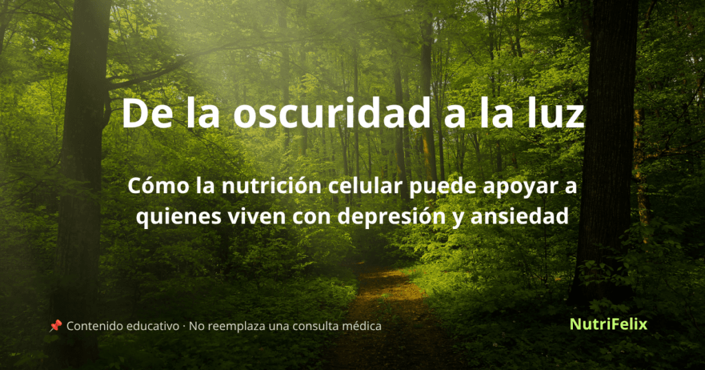Imagen destacada del artículo "De la oscuridad a la luz" con un amanecer que representa la esperanza y la recuperación a través de la nutrición celular.
