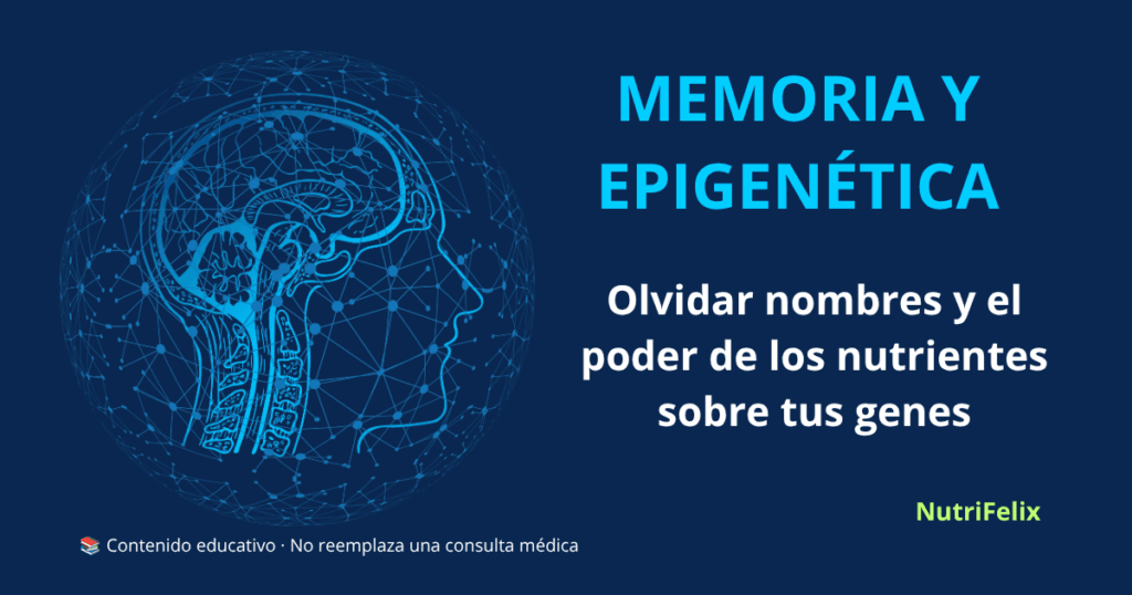 Ilustración de un cerebro con conexiones neuronales brillantes, representando la memoria, la epigenética y el poder de los nutrientes para modular la expresión genética