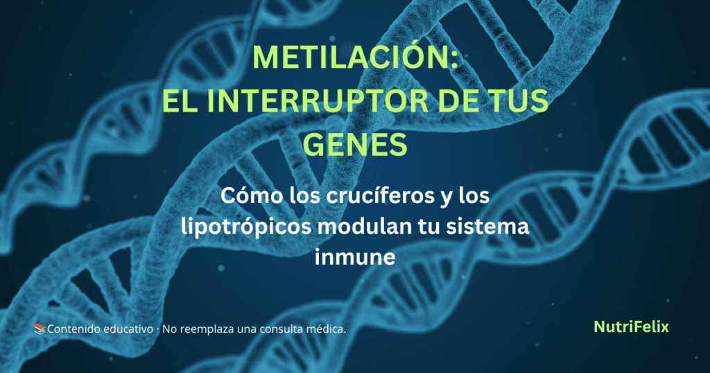 Imagen destacada sobre metilación. Muestra el título "Metilación: El interruptor de tus genes" y el subtítulo "Cómo los crucíferos y los lipotrópicos modulan tu sistema inmune". Fondo oscuro con una ilustración de ADN o vegetales.