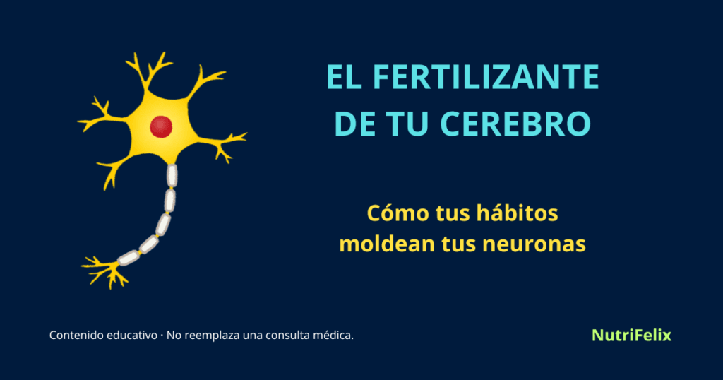 Imagen destacada del artículo "El Fertilizante de tu Cerebro". Muestra el título "El Fertilizante de tu Cerebro" y el subtítulo "Cómo tus hábitos moldean tus neuronas". Fondo oscuro con conexiones neuronales brillantes.