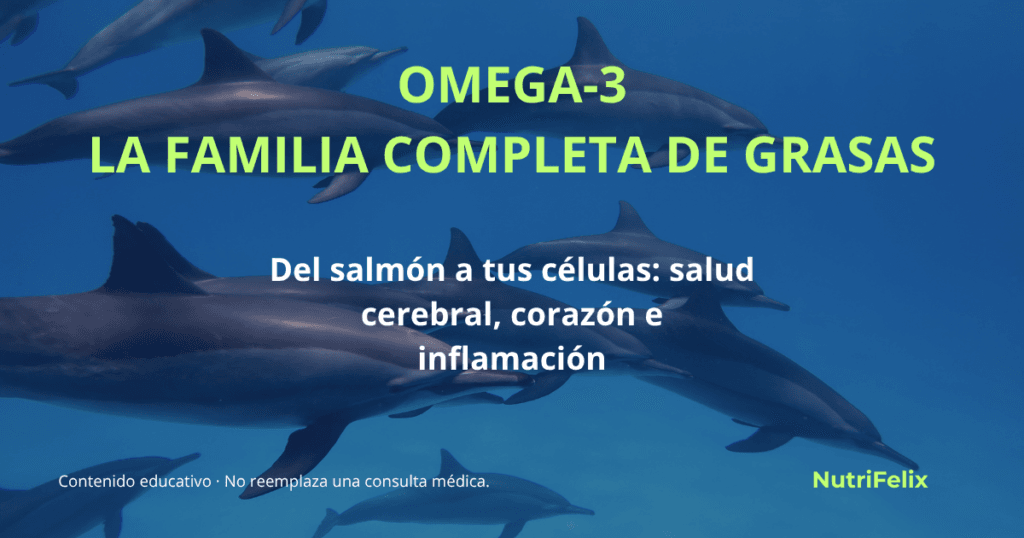 Imagen destacada del artículo sobre omega-3. Muestra el título "Omega-3, la familia completa de grasas" y el subtítulo "Del salmón a tus células: salud cerebral, corazón e inflamación". Fondo con peces en el mar.